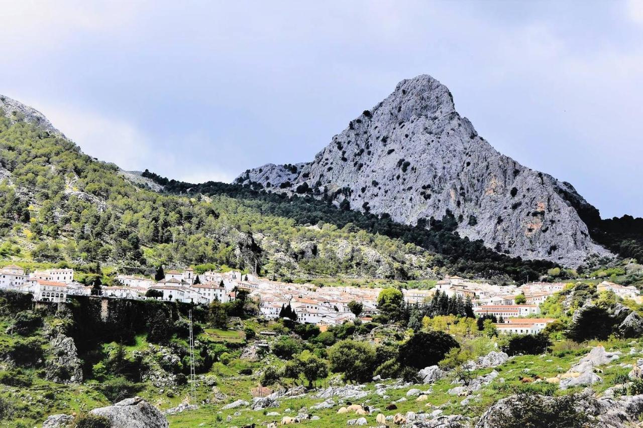 Casa Plaza Sierra Grazalema 빌라 외부 사진